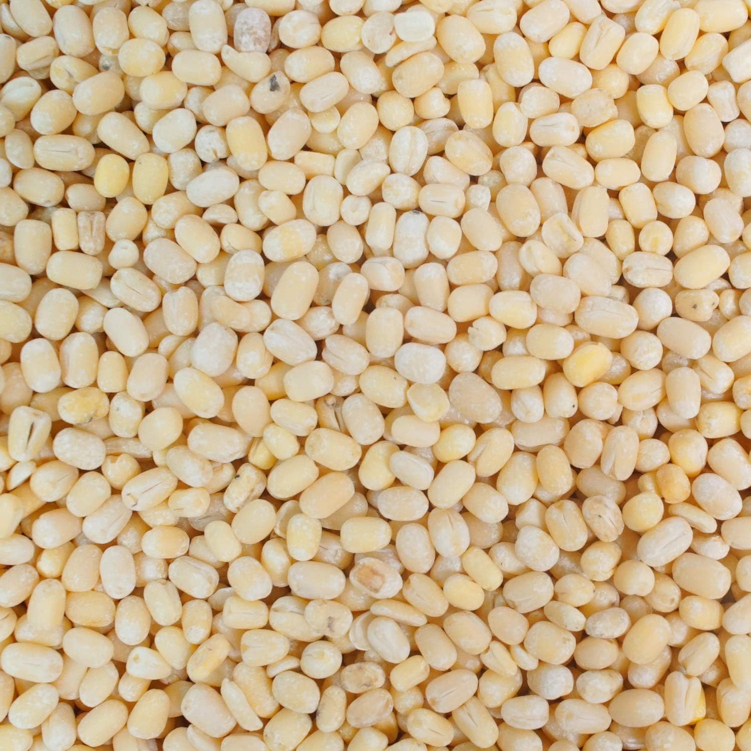 White Urad Dal Half (Loose)