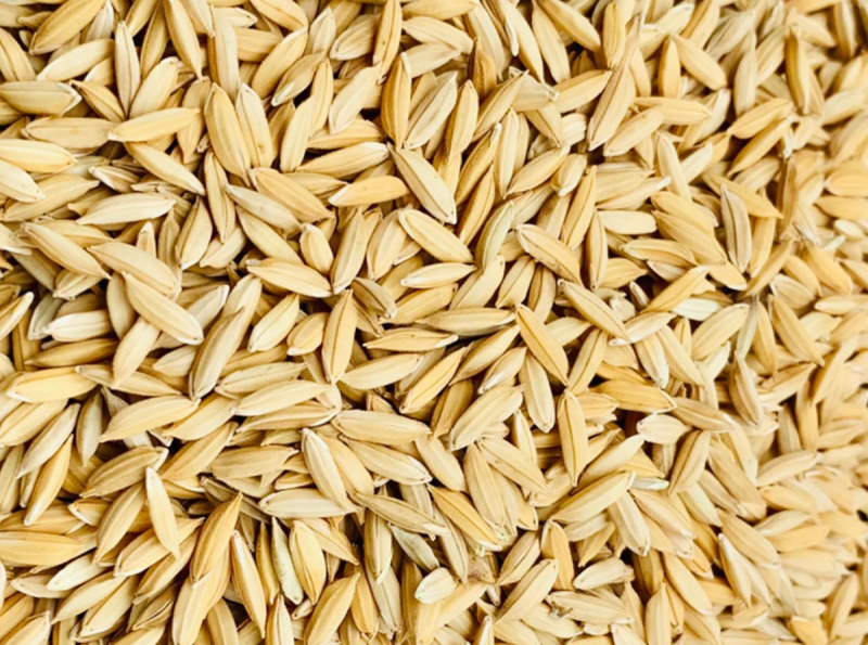 Paddy Rice (Loose)