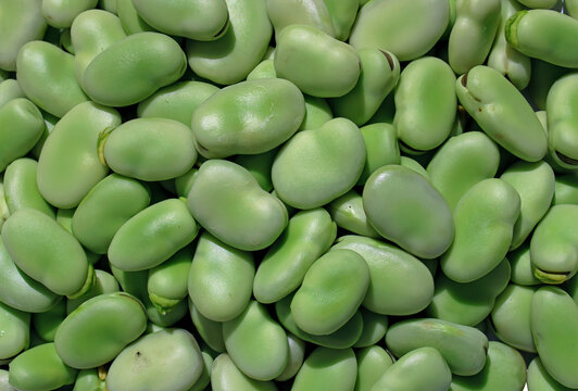 Field Beans (Loose)