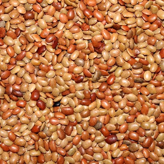 SS Horse Gram (Loose)